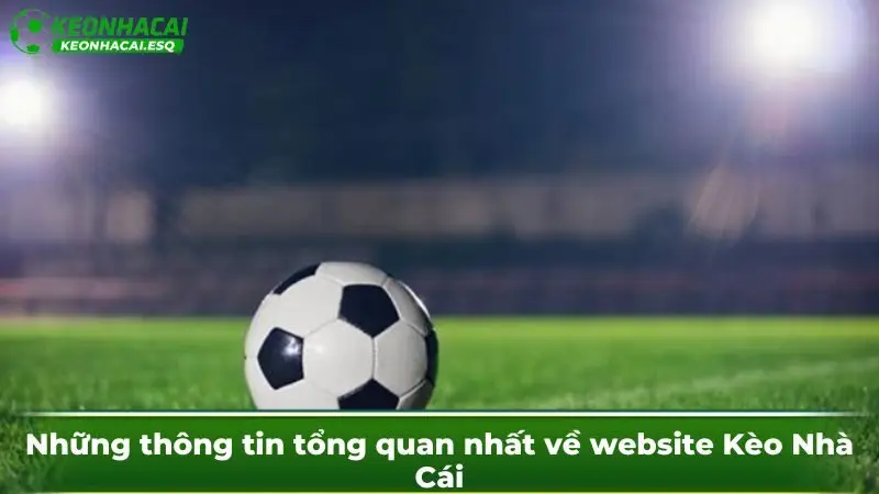 Những thông tin tổng quan nhất về website Kèo Nhà Cái